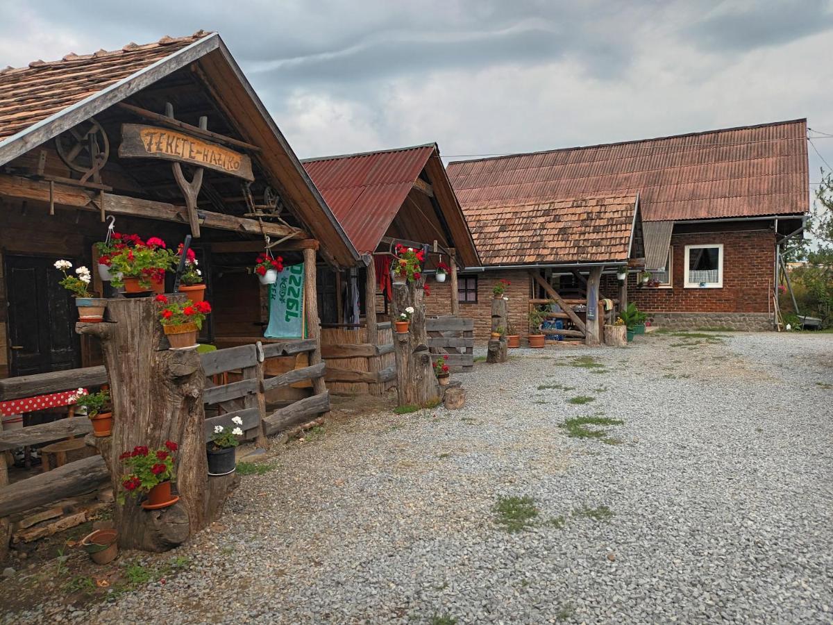Casa Rustic Feher & Fekete Vendeghazak Sovata Bagian luar foto